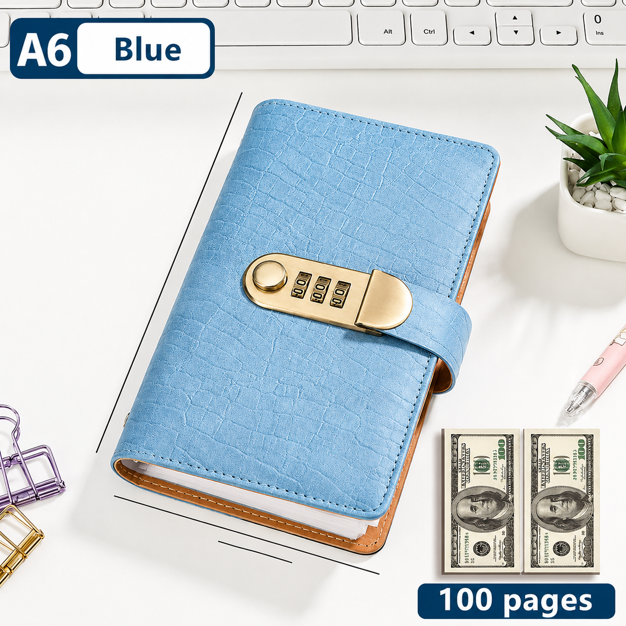 🧧100 Transparent Pocket Currency Collectors Album