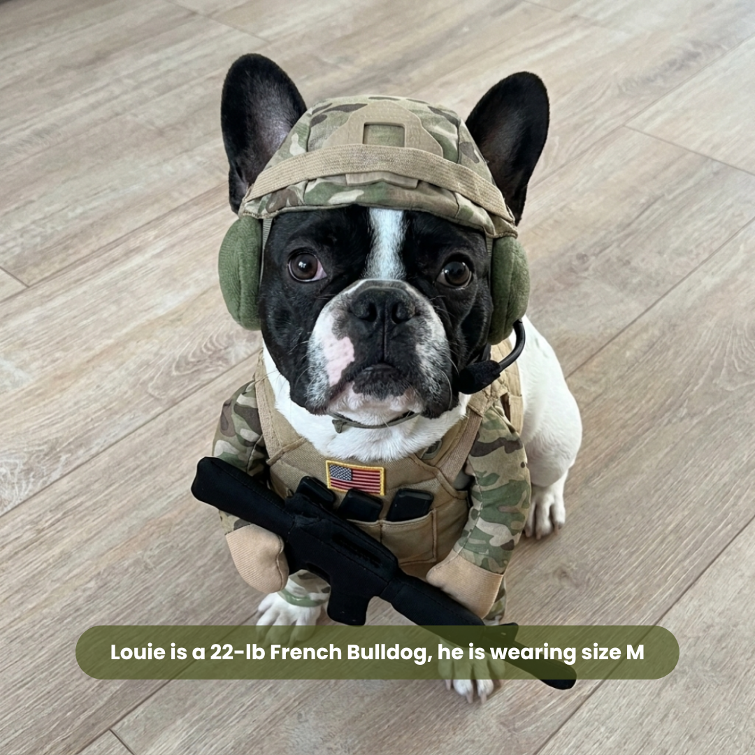🔥 50% OFF🪖Pet Tactical Soldier Uniform – Military Style Dog Costume