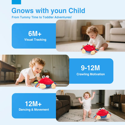 🦀🦀Crawl, Dance & Play – The Interactive Musical Crab That Keeps Little Ones Smiling