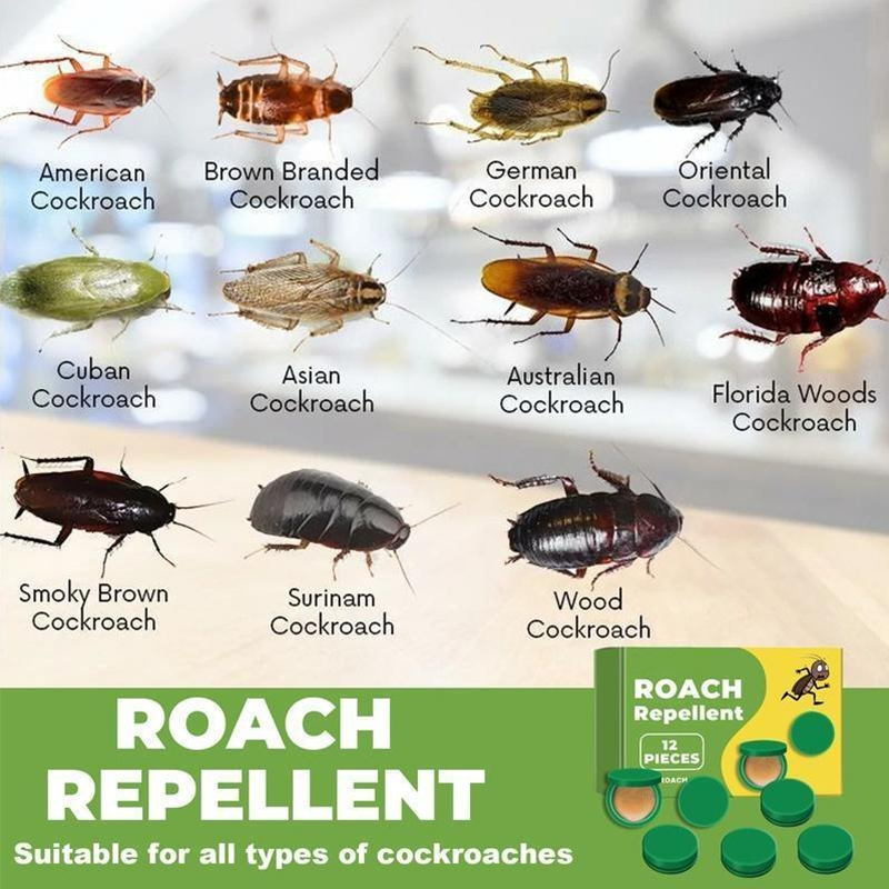 🪳 12-Piece Roach Bait Station Set – Indoor Cockroach & Crawling Pest Control