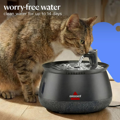 Cat Water Fountain