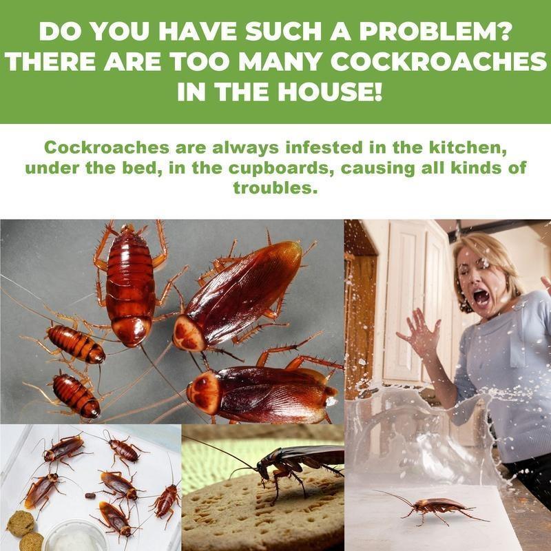 🪳 12-Piece Roach Bait Station Set – Indoor Cockroach & Crawling Pest Control