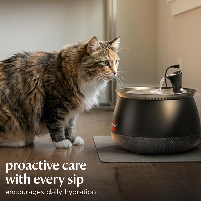 Cat Water Fountain