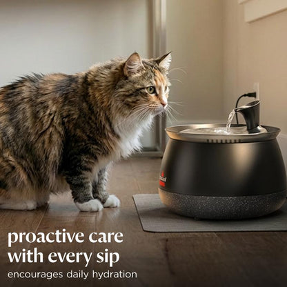Cat Water Fountain